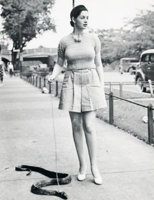 Burlesque dancer Zorita walks her pet snake